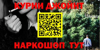 a pvp Дубна