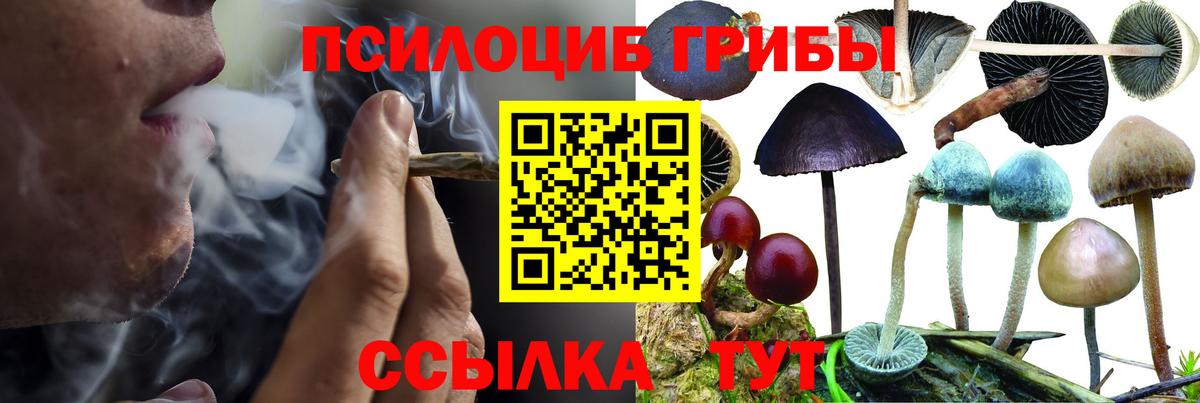 наркота  Псилоцибиновые грибы ЛСД  Вход с VPN  Мурманск 